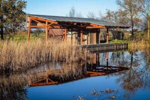 Nij Beets &ndash; Mist