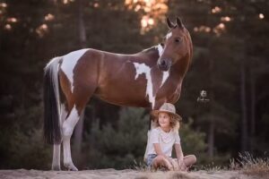 Nikki Media &ndash; fotografie en communicatie