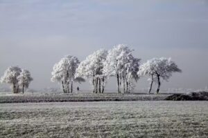 Niko van der Klugt – Digital Art / Photography