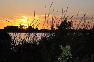 OMNISHOTS PHOTOGRAPHY