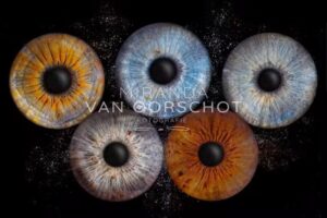 Pasfoto & Fotostudio