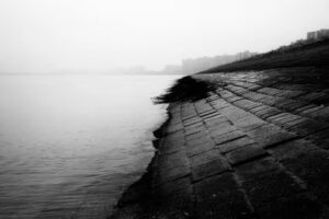 Patrice Domenique Troost – Zeeuws-Vlaamse Dichter – patricetroost- fineartholland.com