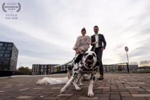 Patrick van Beek fotografie | Bruidsfotograaf |