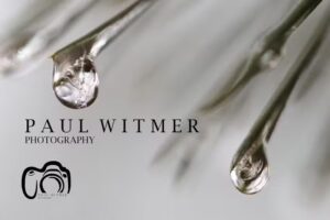 Paul Witmer Photography