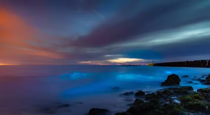 Percy&rsquo;s | Creative Agency