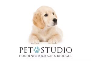Pet Studio &ndash; Hondenfotograaf