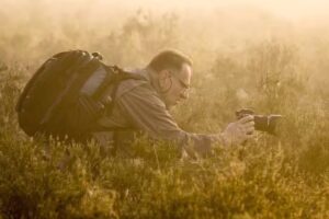 Peter Lambrichs Fotografie