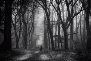 Peter Sitsen Fotografie 📸