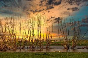 PhotoCord Bedrijfsfotografie