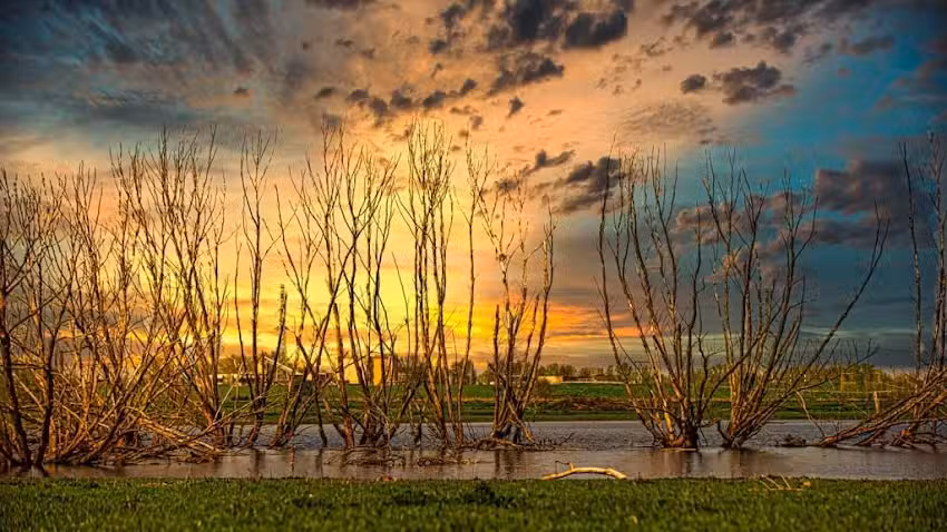 PhotoCord Bedrijfsfotografie