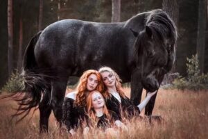 Photography By Meraki