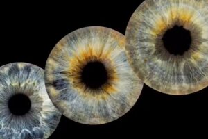 Photos Master studio , Pasfoto