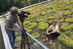 Puur in beeld ben de haas