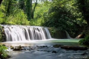 Raw Digitals Fotografie