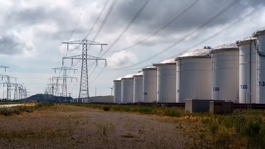 Ren&eacute; Nicolaes Fotografie