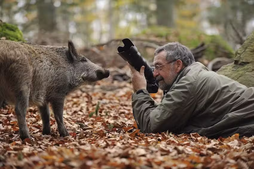 Rob Doolaard International Zoo Photography V.O.F.