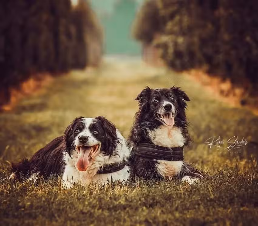 Roger Sanders photography