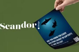 Scandor design