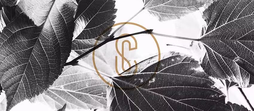 Schellekens & Cleijsen Photography and Film