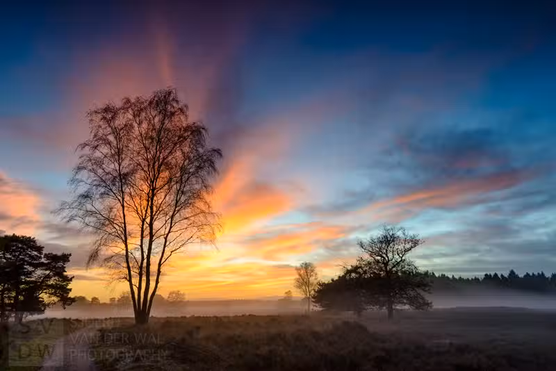 Sjoerd van der Wal Fotografie