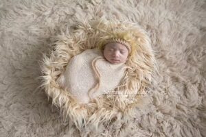 Stefanie Honselaar Fotografie