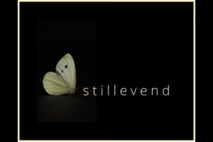 Stillevend