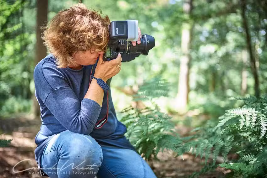 Stim NEI coach en fotografie