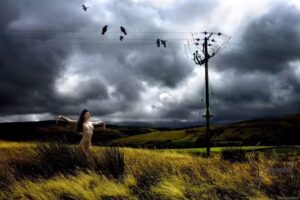 Sybarite Art | Sybarite Photography