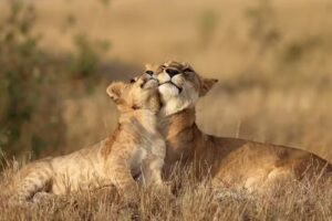 The Route Photography Gallery