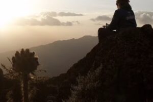 Totally Jolie Fotografie