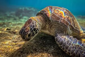 Travel Tips and Stories