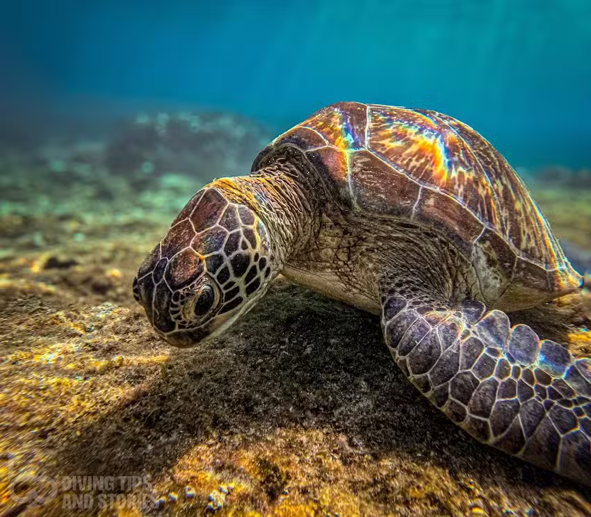 Travel Tips and Stories