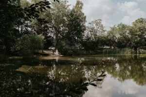 Tumbleweed & Fireflies Photography | Fotograaf Eva Krebbers Den Bosch the Netherlands
