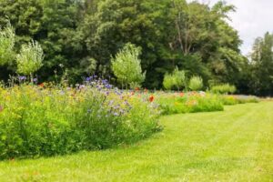 Vormbeeldig Fotografie & Merkverhalen