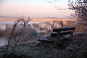 Wapserveen Photography