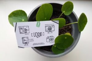 Wijbe &ndash; Ontwerp Web & Print