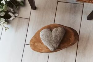 Wild Flower Photography