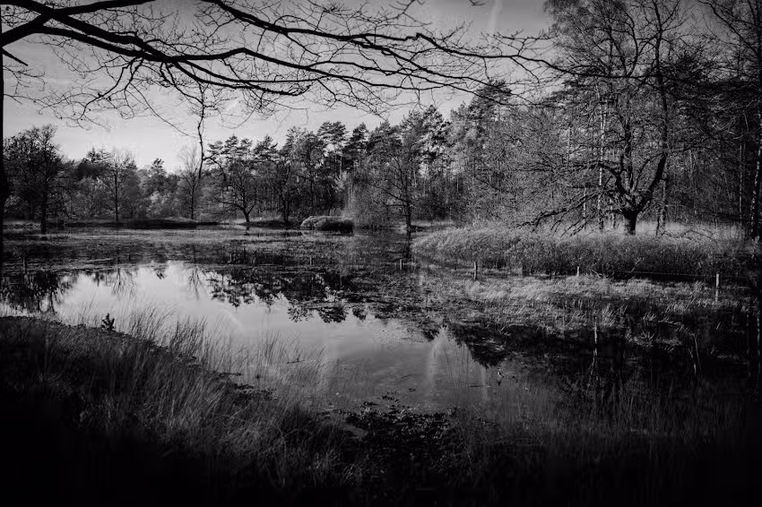 Willomino Photography