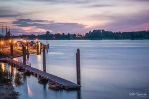 Wim Brands Nature and Wildlife Photography