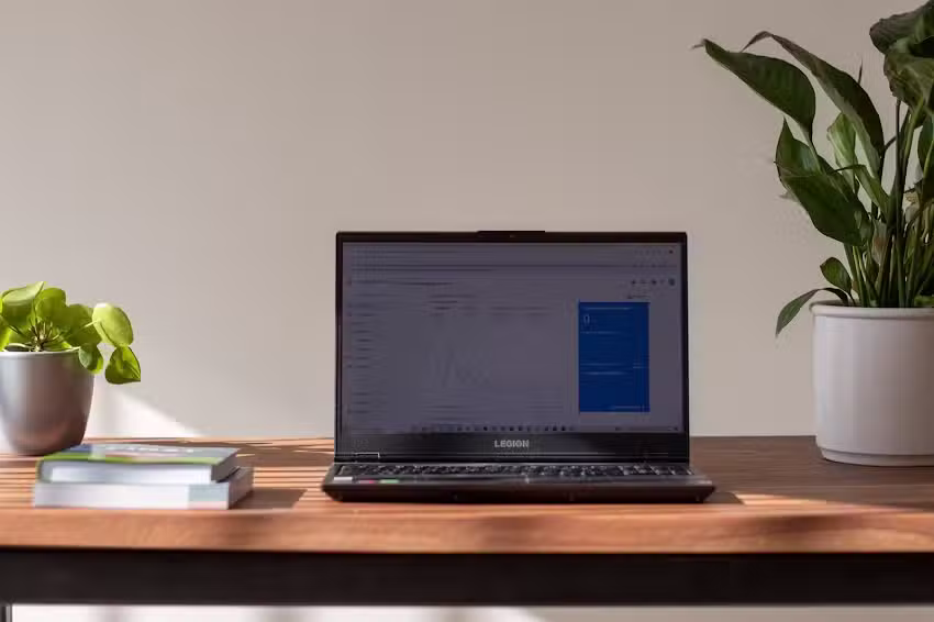 Wolf Online Marketing