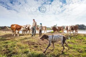 Worcflow, visuele marketing & beeldcommunicatie